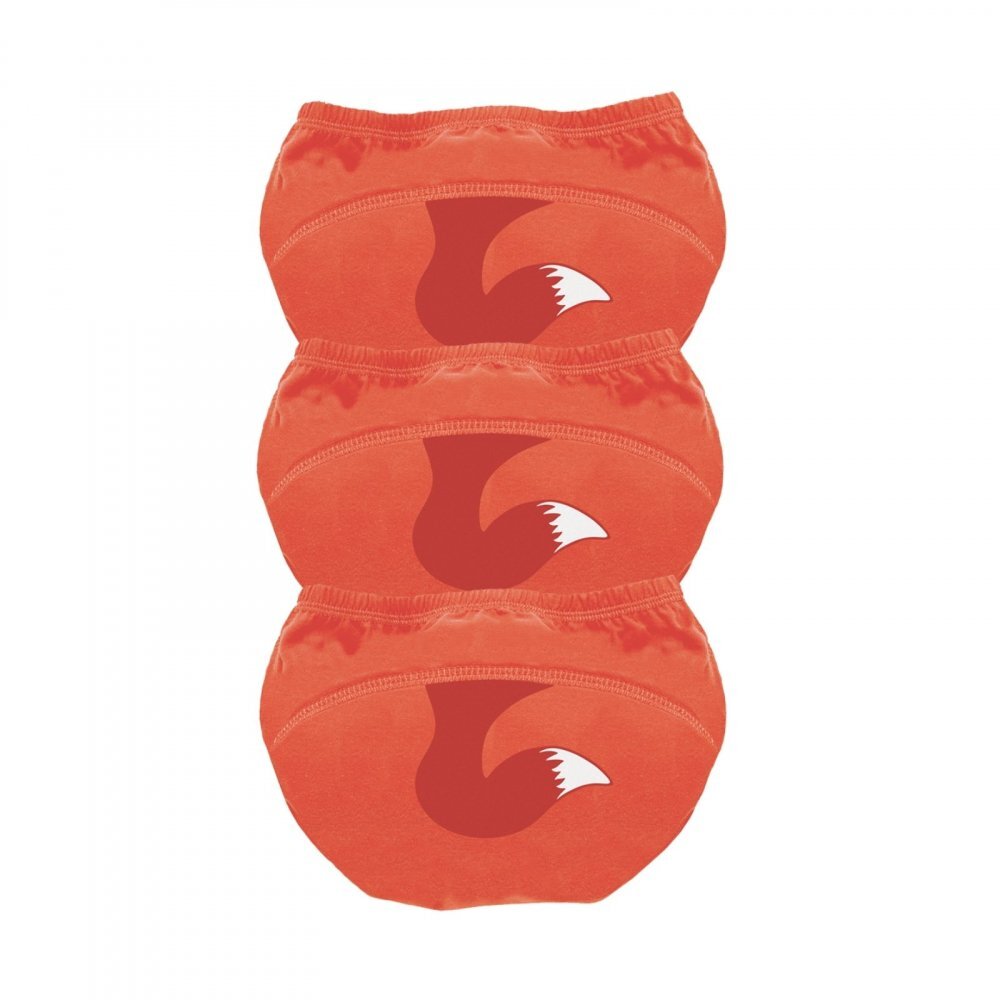 My Carry Potty Set de 3 chilotei de antrenament la olita My Little Training Pants 2-3 ani Vulpe