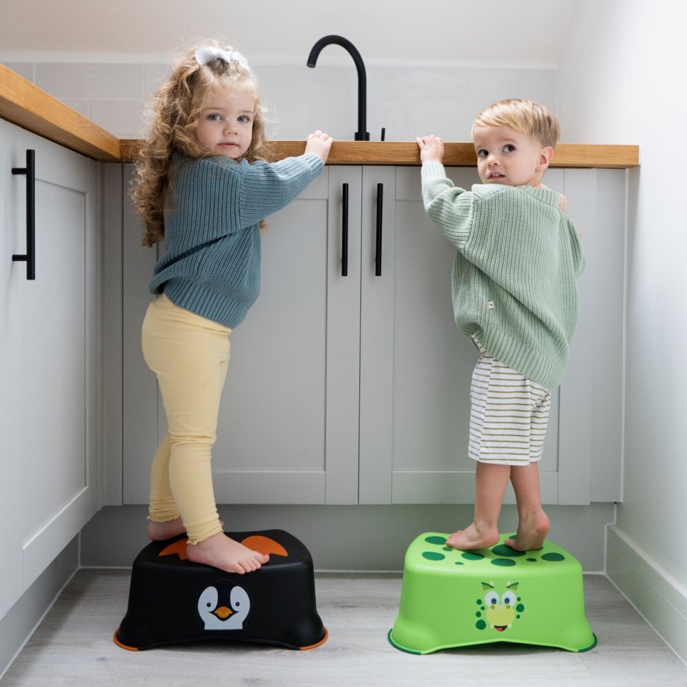 My Carry Potty Treapta inaltatoare pentru copii My Step Stool Dino