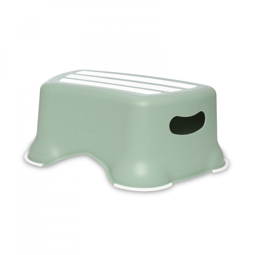 My Carry Potty Treapta inaltatoare pentru copii My Step Stool Verde Pastel