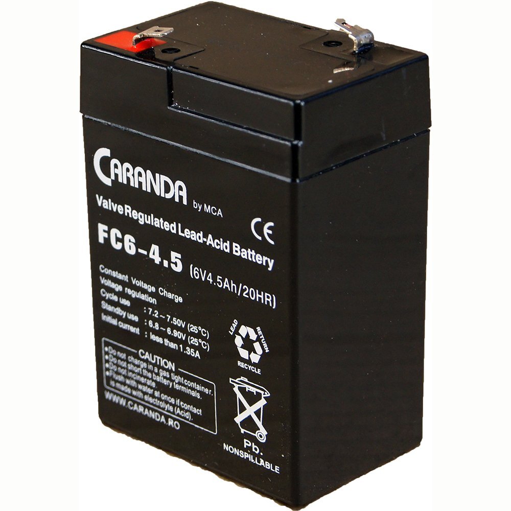 Nichiduta Acumulator vehicule copii 6V 4.5Ah