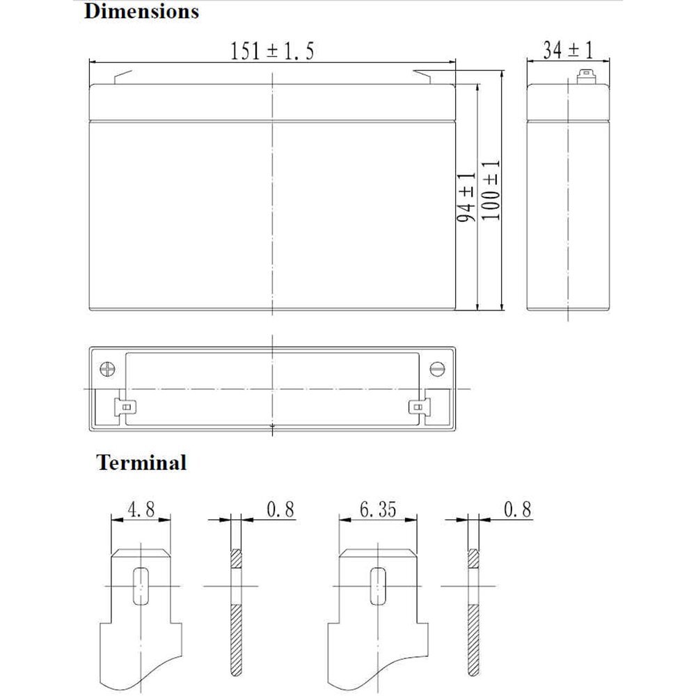 Nichiduta Acumulator vehicule copii 6V 9Ah