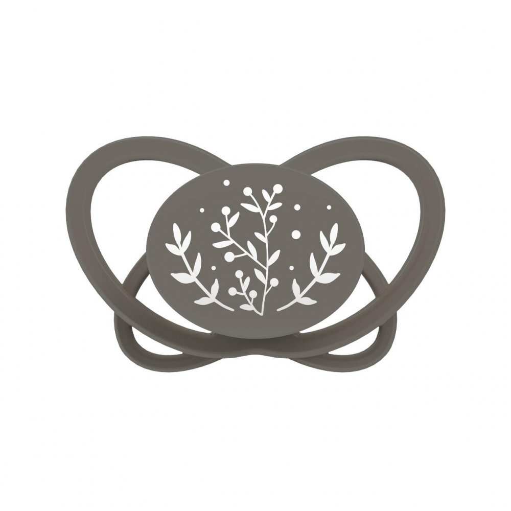 NIP Set 2 suzete My Butterfly cu tetina ortodontica din silicon forma simetrica din materiale naturale regenerabile fara BPA cutie de transport si sterilizare maro 0-6 luni