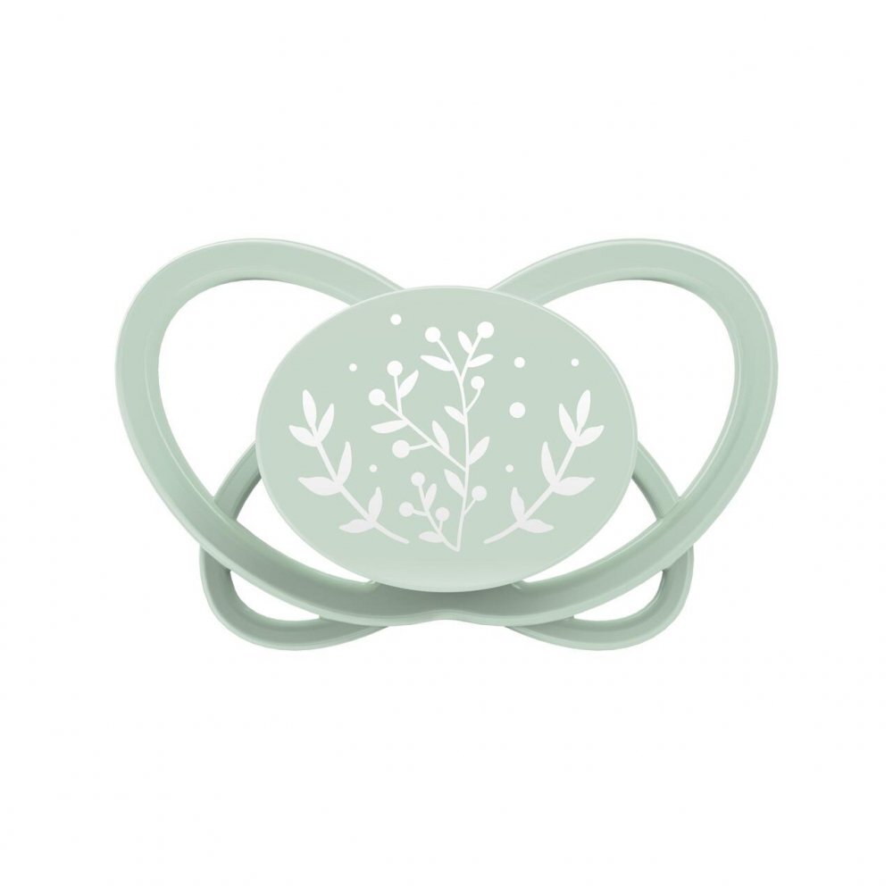 NIP Set 2 suzete My Butterfly cu tetina ortodontica din silicon forma simetrica din materiale naturale regenerabile fara BPA cutie de transport si sterilizare verde 16-32 luni