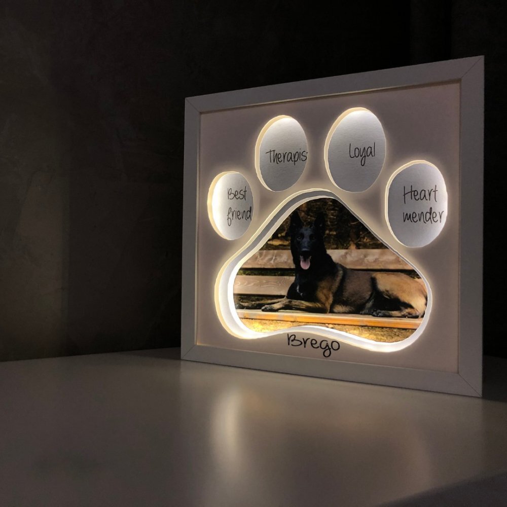 Noorhandmadeatelier Tablou luminos Caine 004