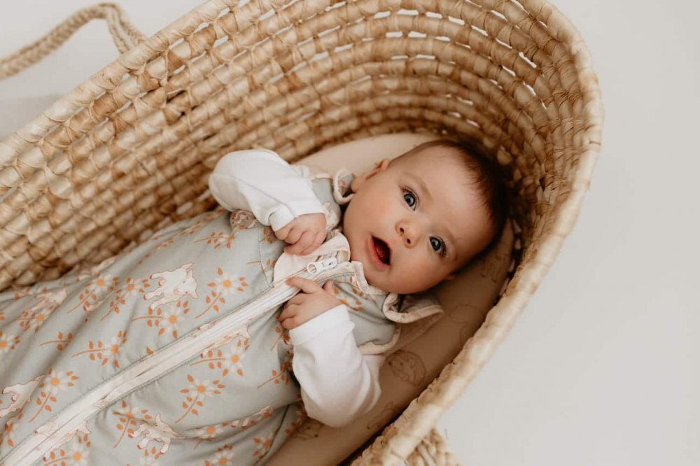 Nor Pufos Sac de dormit din bumbac 0-4 luni Newborn Animale de Epoca Sky Blue Sleepee 25 tog
