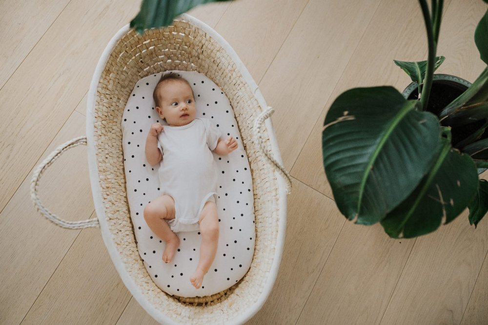 Nor Pufos Set 2 cearsafuri cu elastic pentru landoucosulet bebe Animale Epoca Almond Cream Sleepee
