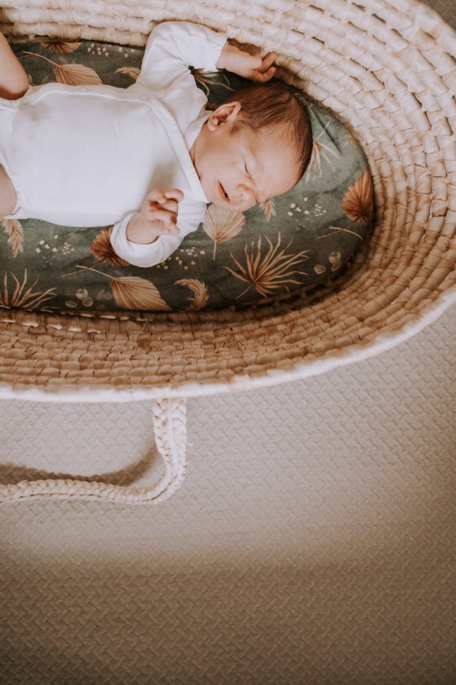 Nor Pufos Set 2 cearsafuri cu elastic pentru landoucosulet bebe Boho GreenBoho Botanic Sleepee