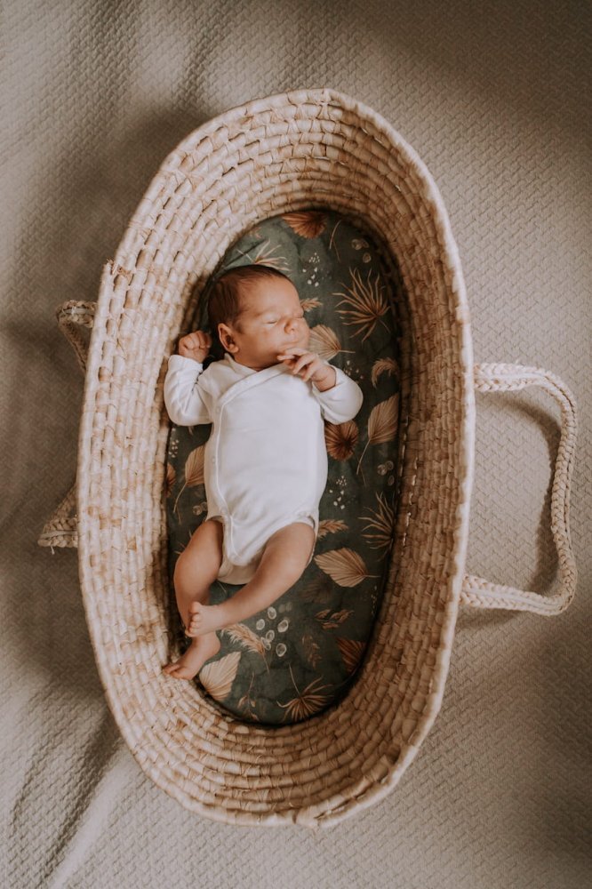 Nor Pufos Set 2 cearsafuri cu elastic pentru landoucosulet bebe Boho GreenBoho Botanic Sleepee