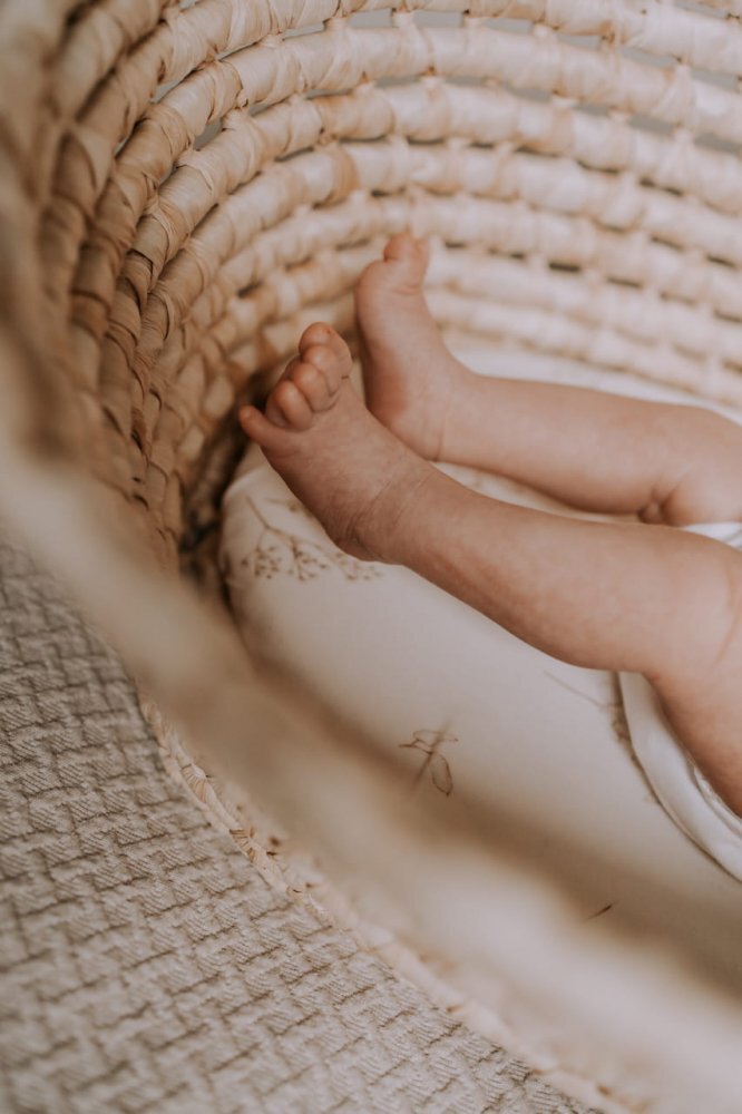 Nor Pufos Set 2 cearsafuri cu elastic pentru landoucosulet bebe Boho GreenBoho Botanic Sleepee