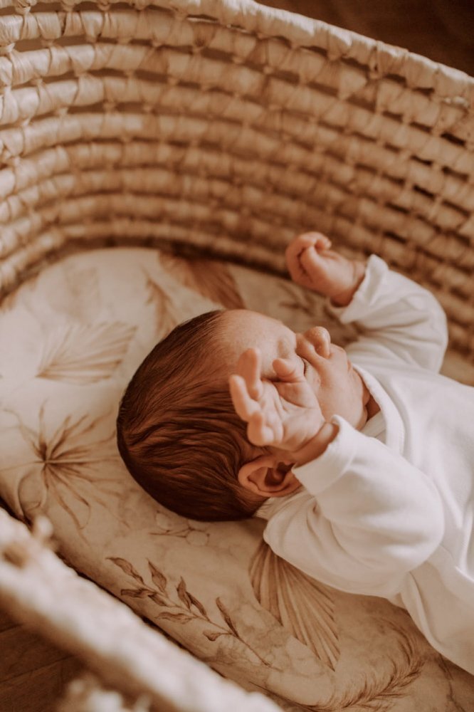 Nor Pufos Set 2 cearsafuri cu elastic pentru landoucosulet bebe Boho SandBoho Botanic Sleepee