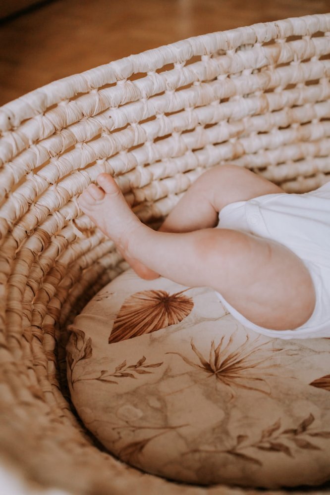 Nor Pufos Set 2 cearsafuri cu elastic pentru landoucosulet bebe Boho SandBoho Botanic Sleepee