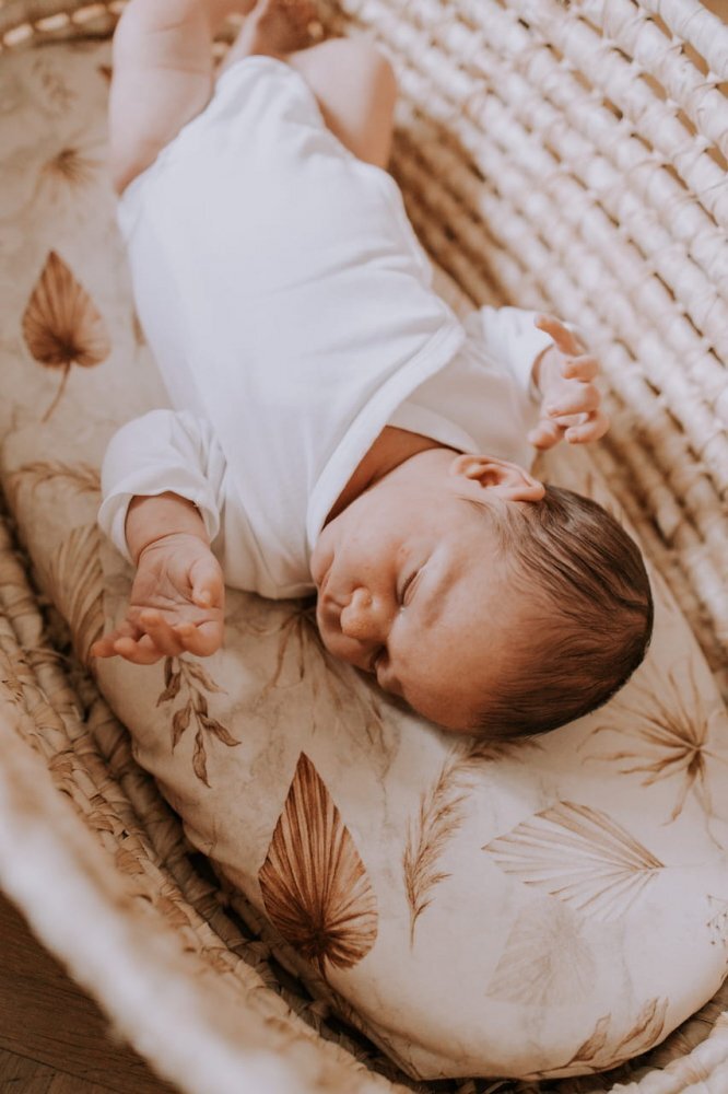 Nor Pufos Set 2 cearsafuri cu elastic pentru landoucosulet bebe Boho SandBoho Botanic Sleepee