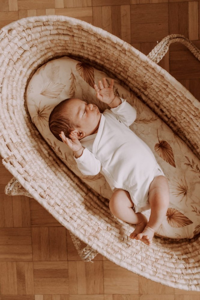 Nor Pufos Set 2 cearsafuri cu elastic pentru landoucosulet bebe Boho SandBoho Botanic Sleepee