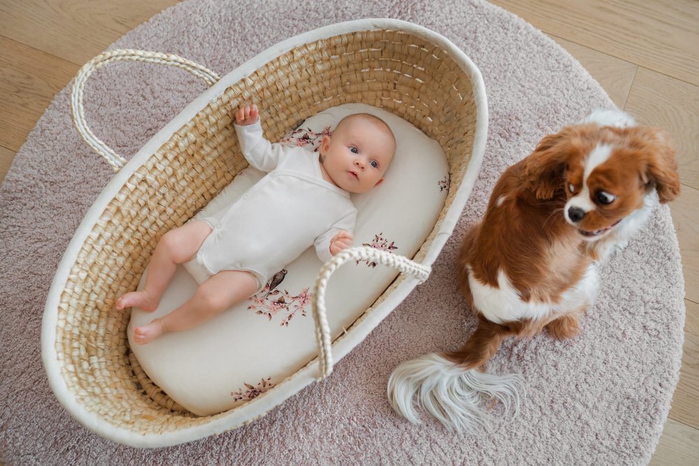 Nor Pufos Set 2 cearsafuri cu elastic pentru landoucosulet bebe Dots Sleepee