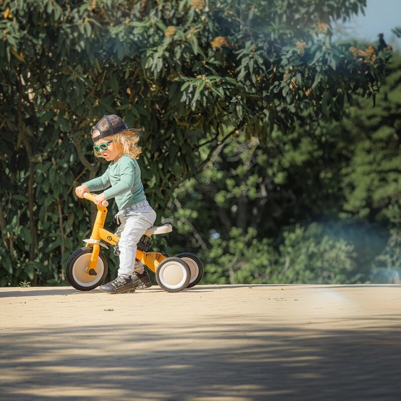 Petite&Mars Tricicleta pentru copii PetiteMars Turbo Albastru 5 in 1 Multifunctionala Vehicul de impins Bicicleta cufara pedale Cu maner de ghidaj Detasabil Roti din cauciuc Pana la 25 kg 1.5-5 ani