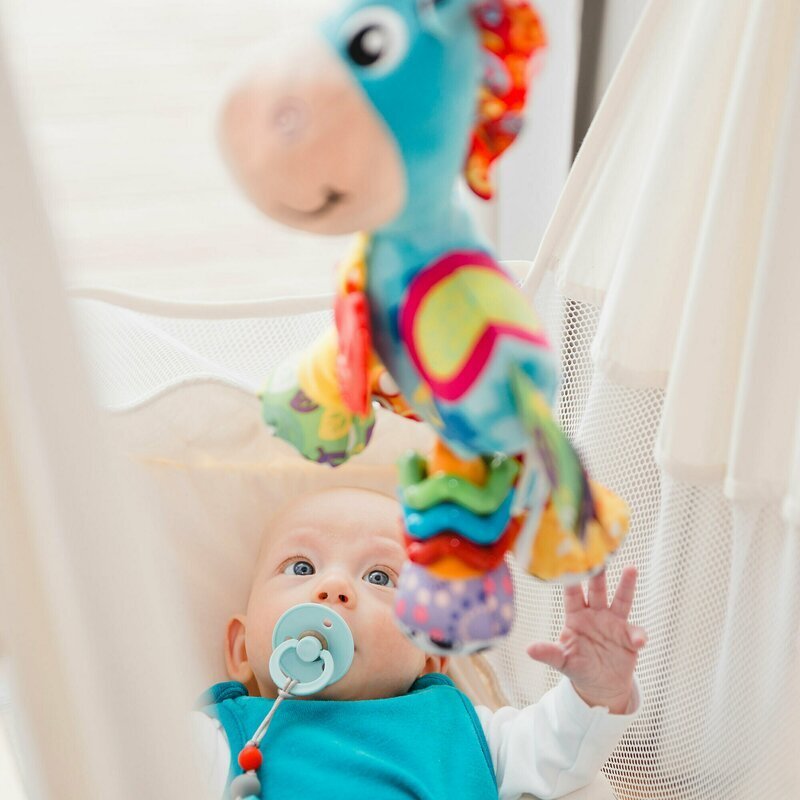 Playgro Jucarie pentru caruciorscoica autopatut Activity Friend Clip Clop 39 cm