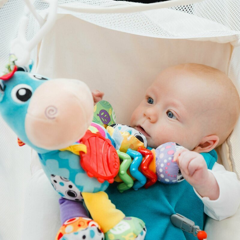 Playgro Jucarie pentru caruciorscoica autopatut Activity Friend Clip Clop 39 cm