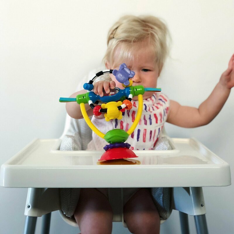 Playgro Jucarie pentru scaunul de masa cu ventuza High chair Spinning Toy 19.5 cm