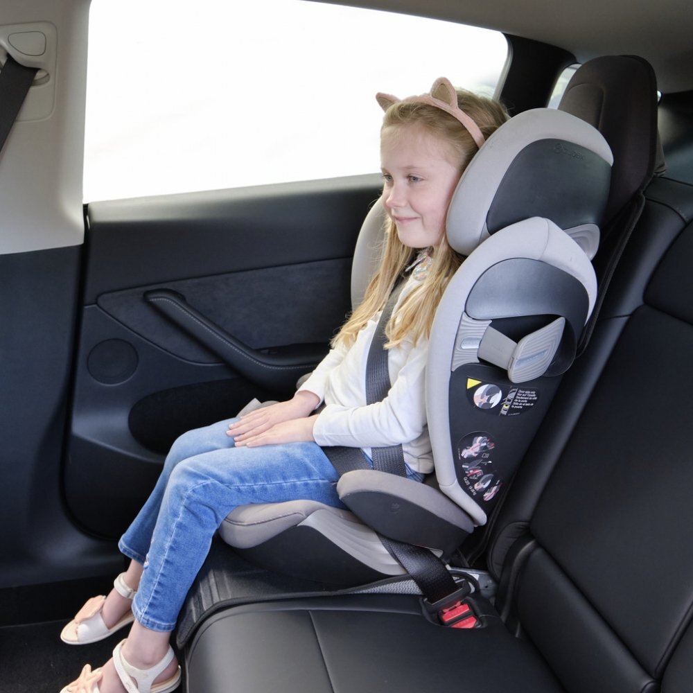 Prince Lionheart Protectie Bancheta Auto pentru Tesla Neutral