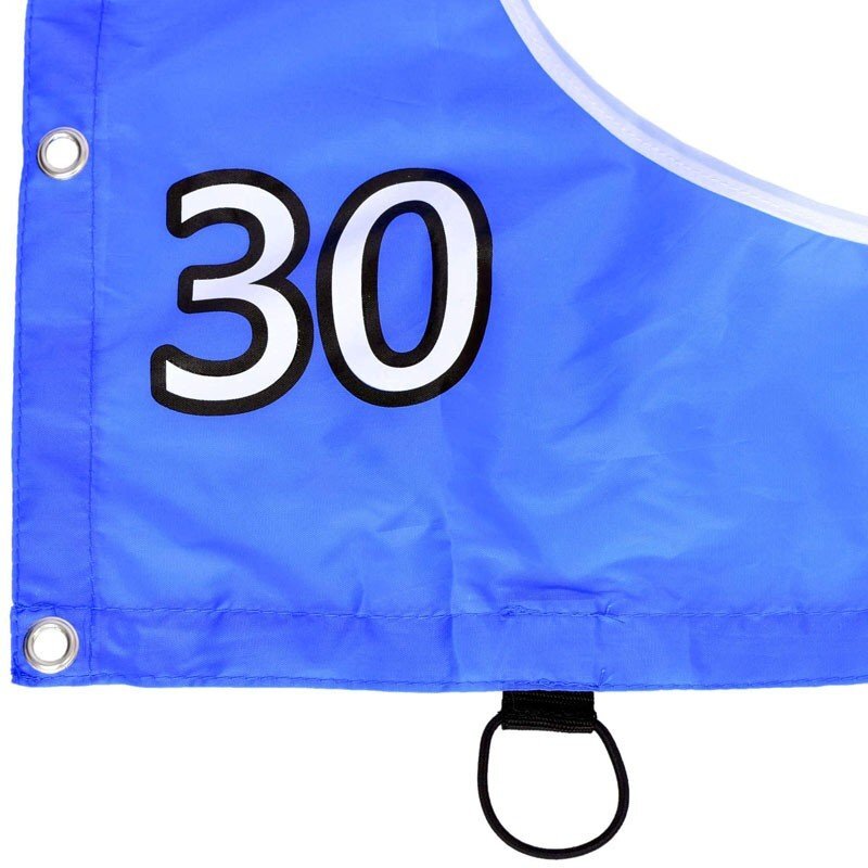 Procart Poarta de fotbal cu 5 tinte pentru antrenament 240x150x90 cm profil 32 mm otel albalbastru