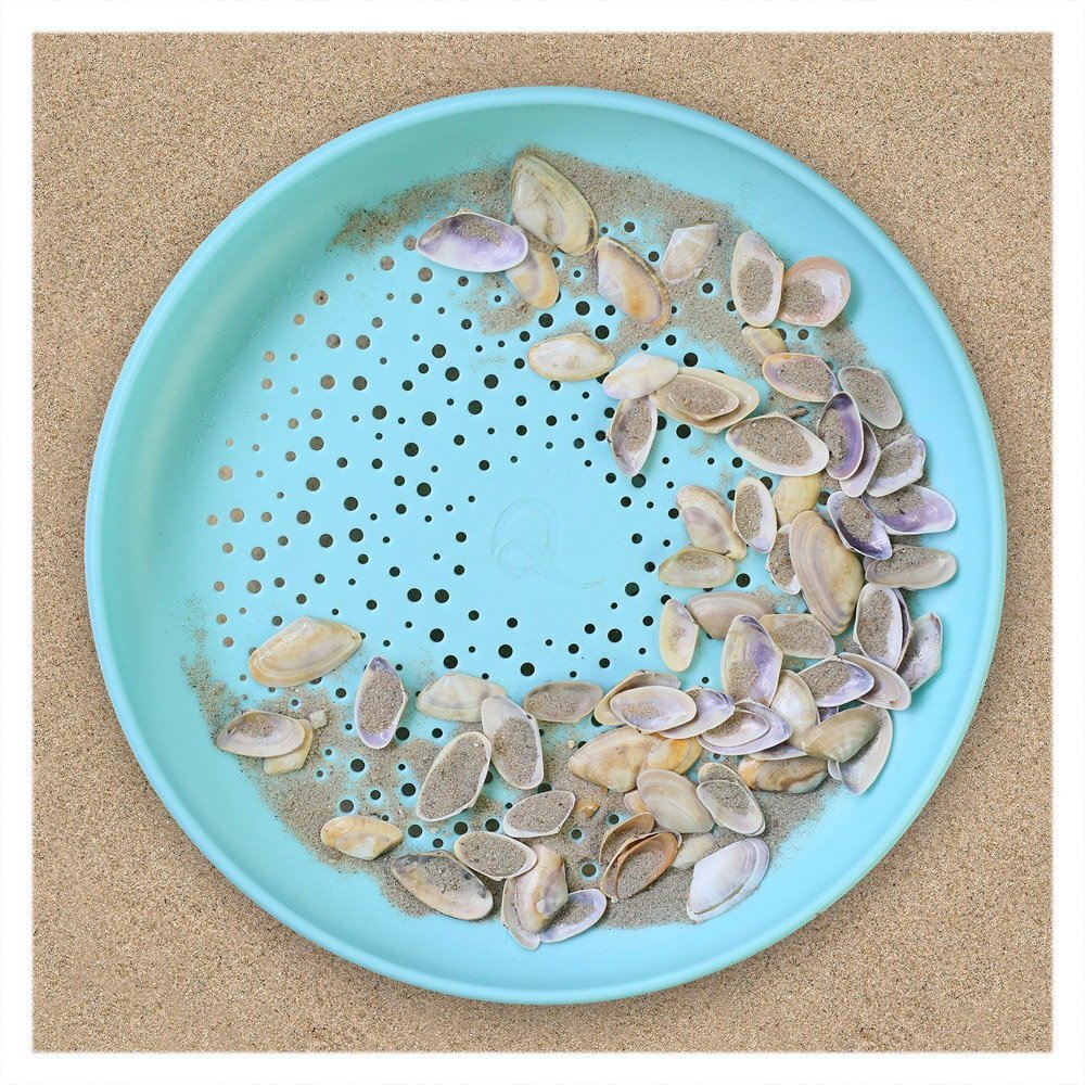 Quut Toys Disc frisbee si sita pentru nisip