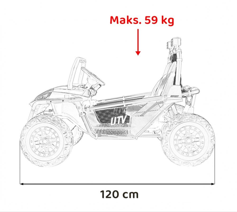Ramiz Masinuta electrica pentru copii Buggy Faster Blue motor 2 x 150W baterie 24V10Ah telecomanda 2.4 GHz 3 viteze panou audio integrat amortizoare