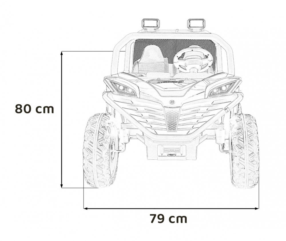 Ramiz Masinuta electrica pentru copii Buggy Faster Blue motor 2 x 150W baterie 24V10Ah telecomanda 2.4 GHz 3 viteze panou audio integrat amortizoare