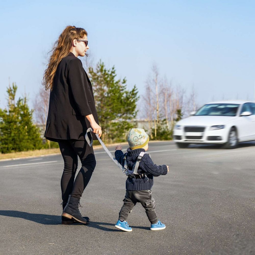 REER Ham de siguranta si mers pentru bebelusi reglabil cu frau de ghidare detasabil Travelkid Go