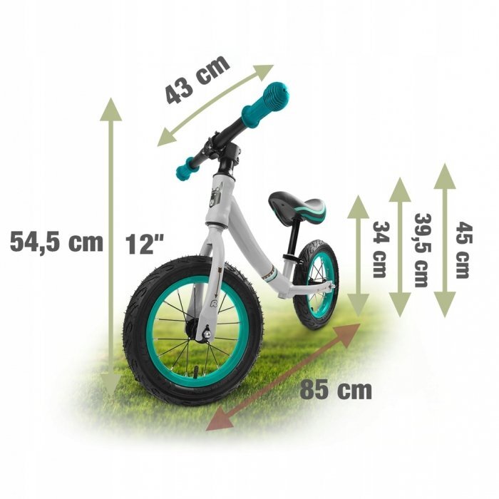 Ricokids Bicicleta copii fara pedale 760100 turcoaz-gri 12 inch scaun moale din spuma si reglabil pe inaltime roti gonflabile manere cauciucate cu opritoare