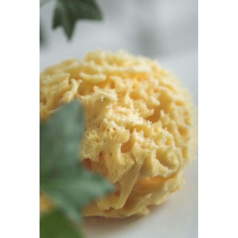 Rotho-Baby Design Burete natural pentru bebelus Rotho babydesign