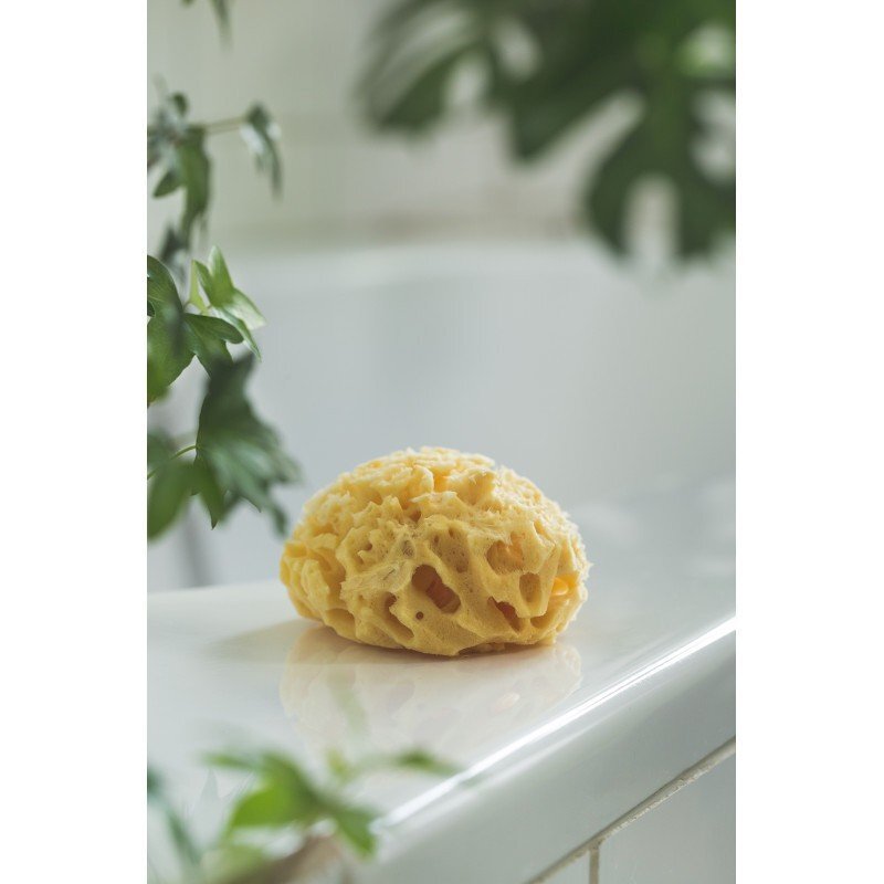 Rotho-Baby Design Burete natural pentru bebelus Rotho babydesign