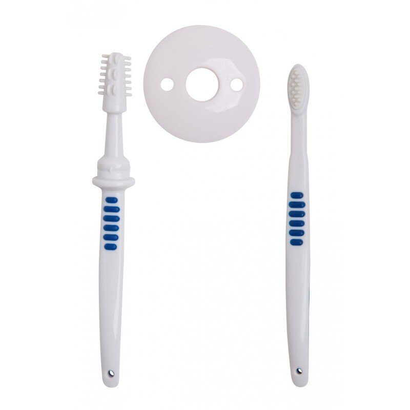 Rotho-Baby Design Periuta de dinti Rotho-Babydesign pentru bebelusi 2 bucati 6-12 luni +