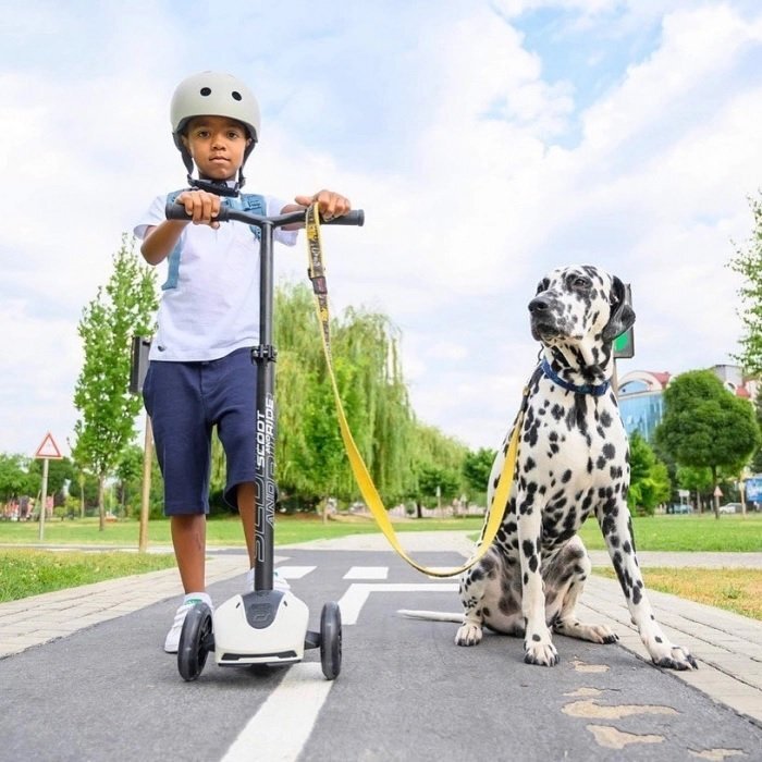 SCOOT AND RIDE Trotineta copii pliabila reglabila roti luminoase Highwaykick 5 Led Ash 5 ani + pana la 80 kg Scoot Ride