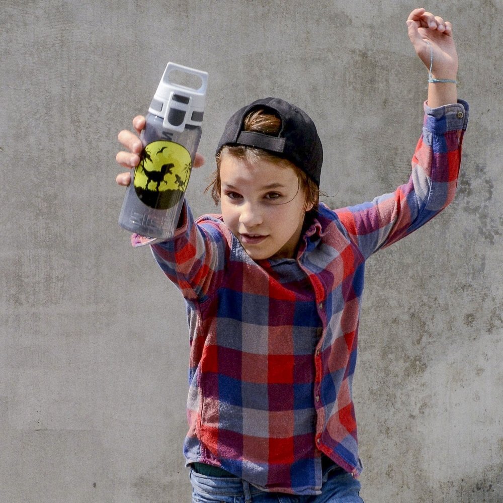 SIGG Bidon din polipropilena Viva One Dinos 0.5L