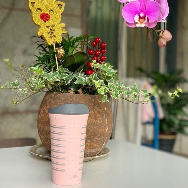 Silikids Cana multifunctionala din silicon cu capac GoSili Silver Stripe