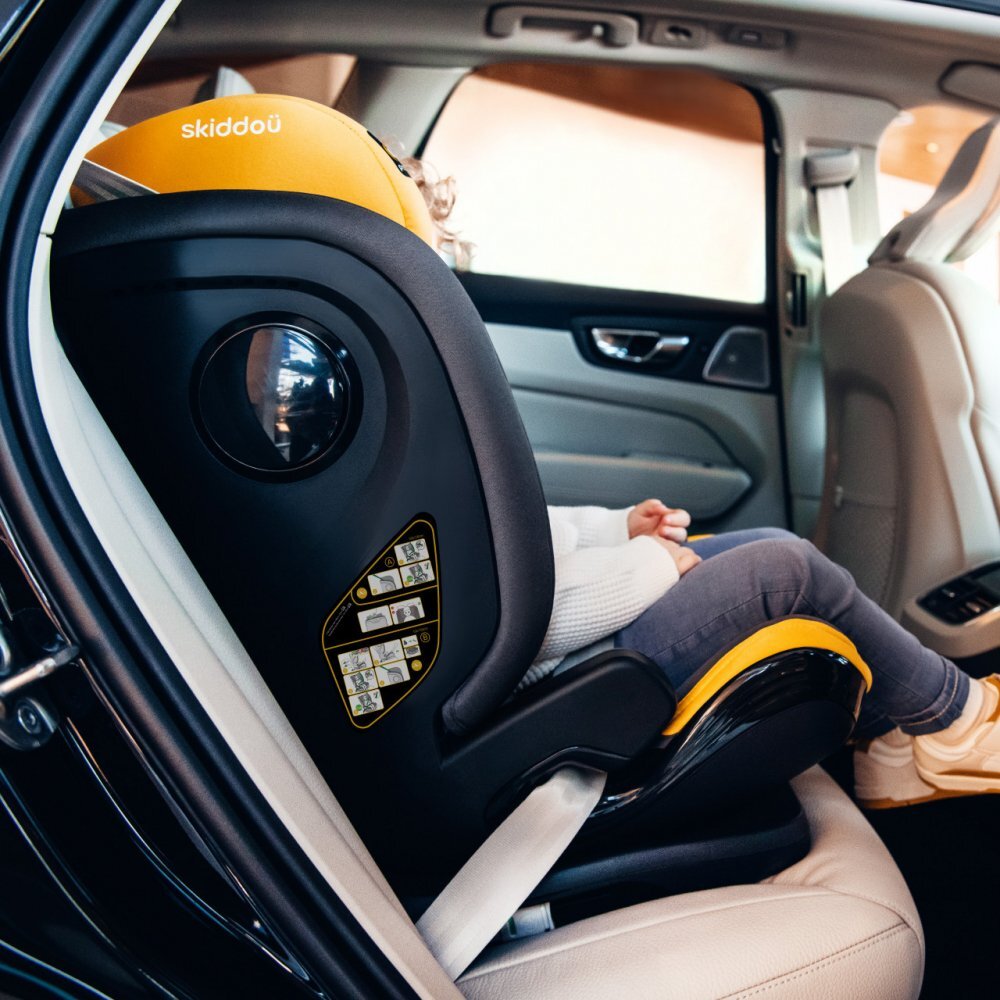 Skiddou Scaun auto isofix Tby 15-36 kg Normandic Dream Gri