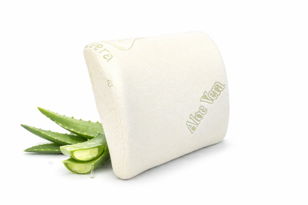 Somnart Perna lombara Aloe Vera memory foam