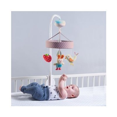 TAF TOYS Carusel Gradina muzicala