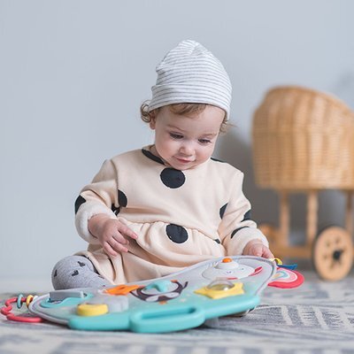 TAF TOYS Centru de activitati muzical Pinguinul magic