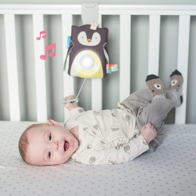 TAF TOYS Jucarie multifunctionala cu inel gingival Pinguinul Prince