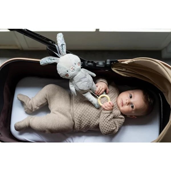 TAF TOYS Jucarie muzicala Iepurasul Rylee