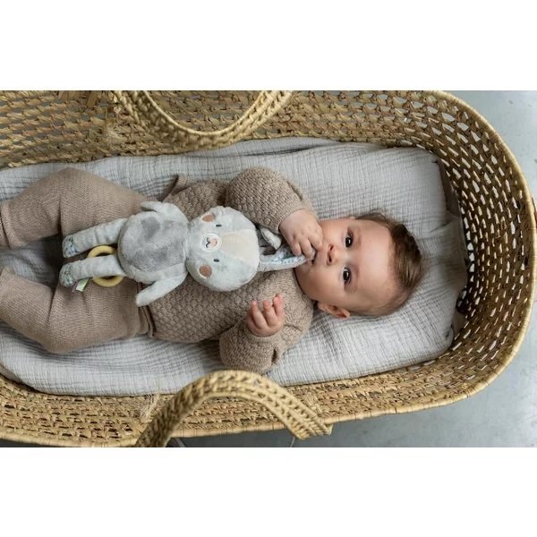 TAF TOYS Jucarie muzicala Iepurasul Rylee
