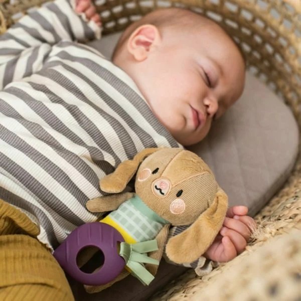 TAF TOYS Jucarie zornaitoare Iepurasul Jenny