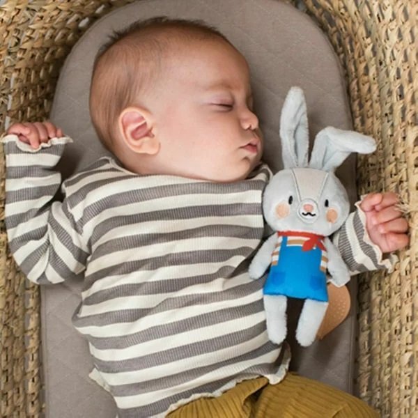TAF TOYS Jucarie zornaitoare Iepurasul Rylee