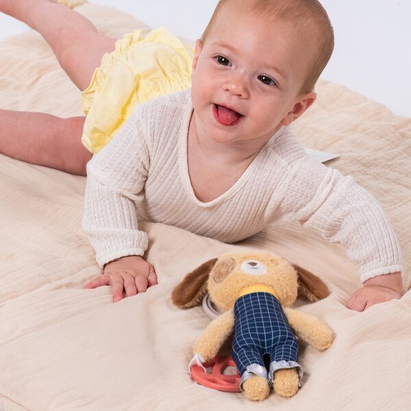 TAF TOYS Jucarie zornaitoare si de activitate Catelusul Daniel