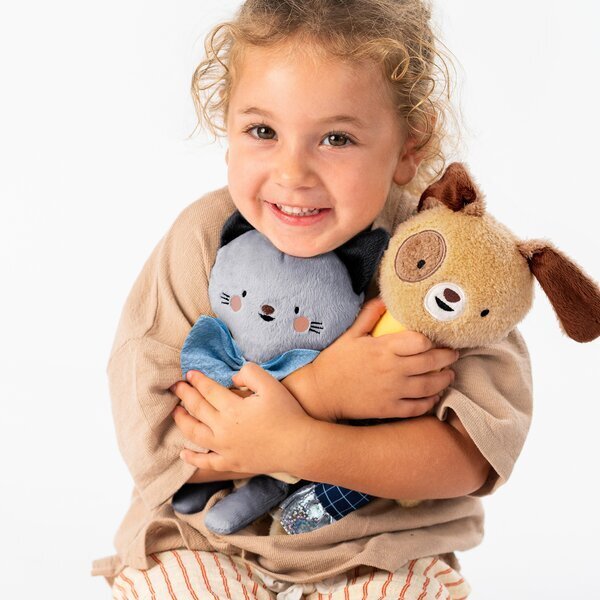 TAF TOYS Jucarie zornaitoare si de activitate Catelusul Daniel