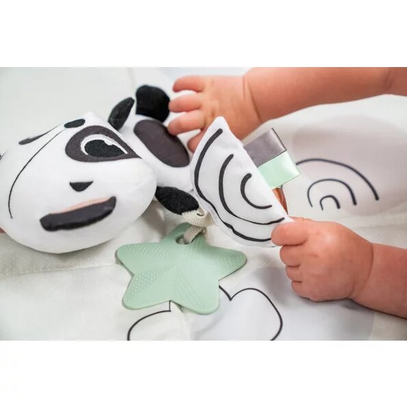 TINY LOVE Jucarie Carucior Elizabeth The Panda