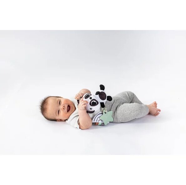 TINY LOVE Jucarie Carucior Elizabeth The Panda