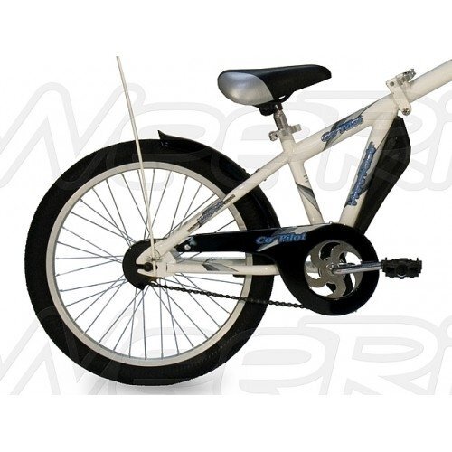 WeeRide Bicicleta Co-Pilot WR06