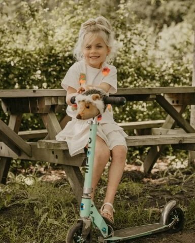 Wild & Soft Accesoriu premium pentru trotineta si bicicleta Wild and Soft Arici